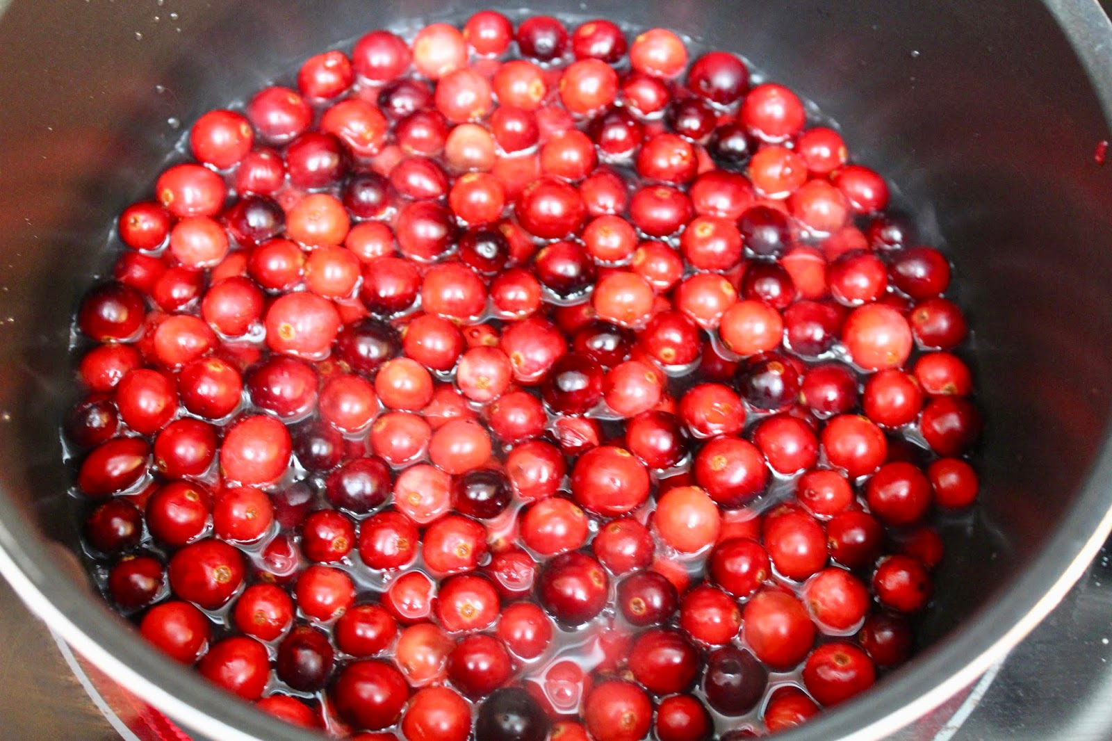 A Taste of Alaska Keto Cranberry Salad