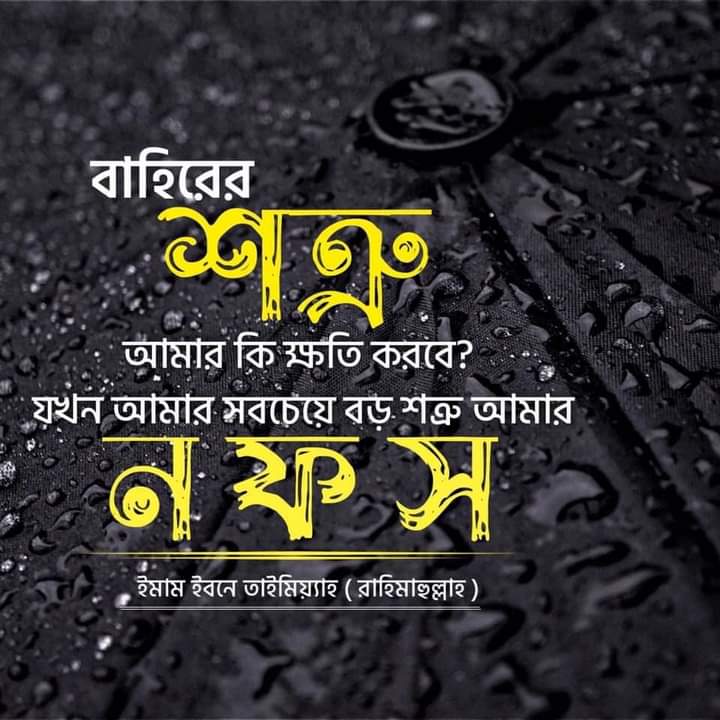 ১০০ টি সেরা ইসলামিক উক্তি [Top 100 Islamic Quotes in Bangla]