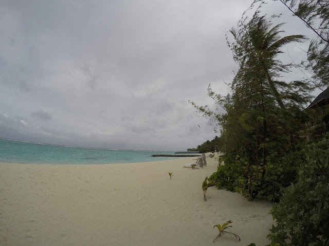 summer island maldives resort maldive