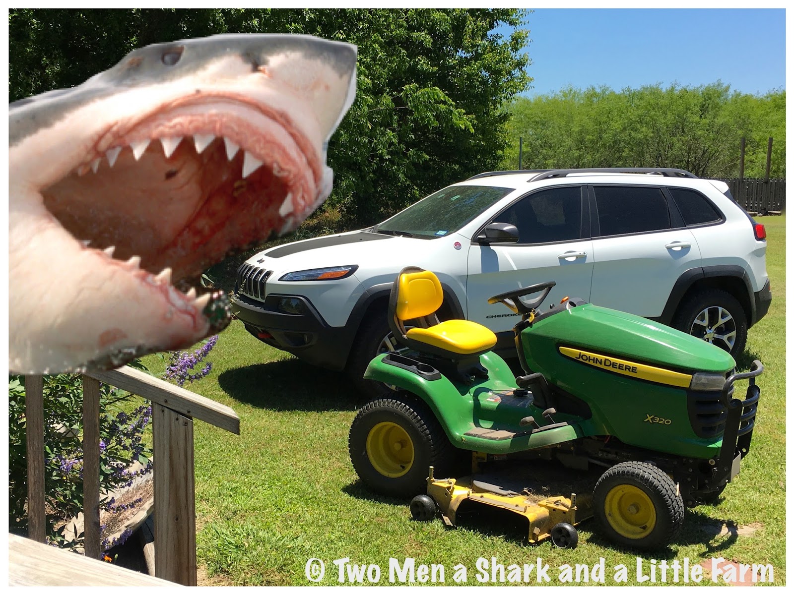 Two Men and a Little Farm SHARK WEEK 2017
