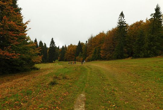 Polana Gwiaździsta.