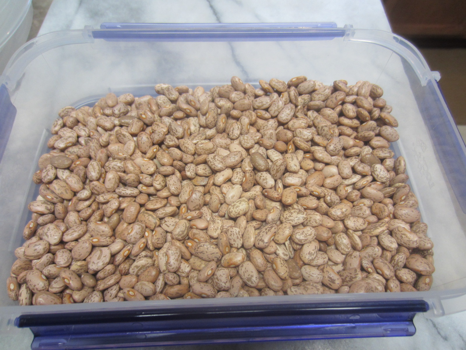 Hibiscus House Dry Pinto Beans Traditional, Slow Cooker, and Instant