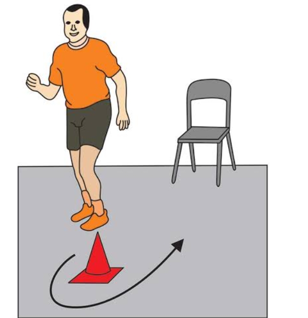 FITNESS TEST FOR SENIOR CITIZENS.