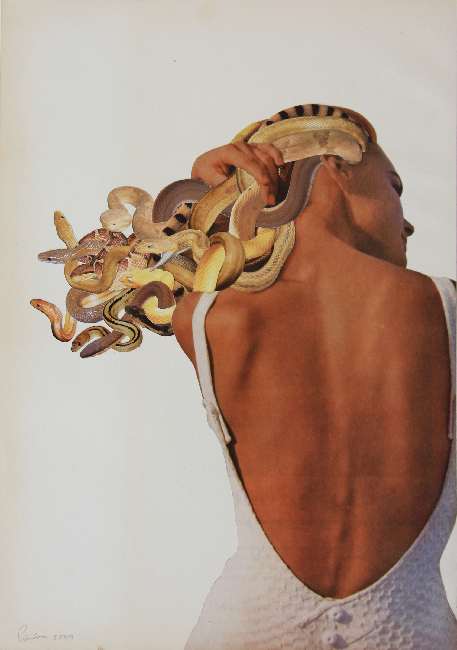 Doctor Ojiplático. Javier Piñon. Medusas