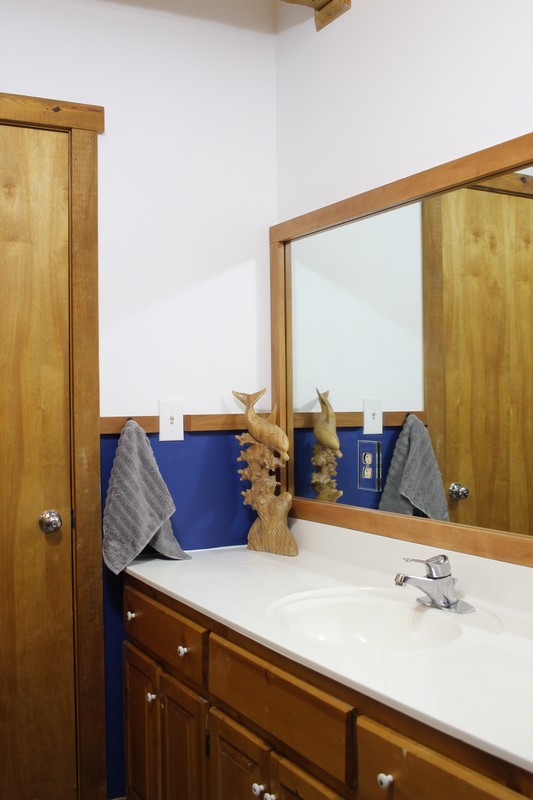 Jack and Jill Bathroom with White And Navy Walls and wood cabinet