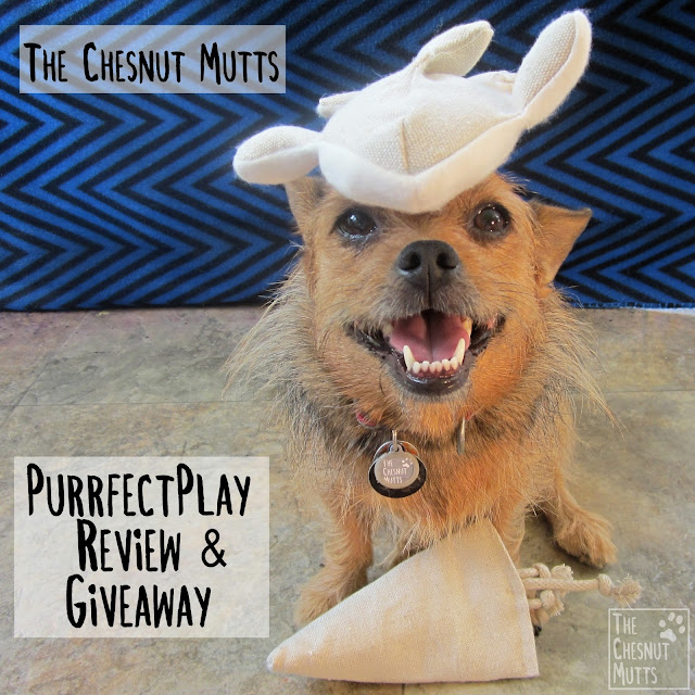 The Chesnut Mutts Purrfect Play Review and Giveaway