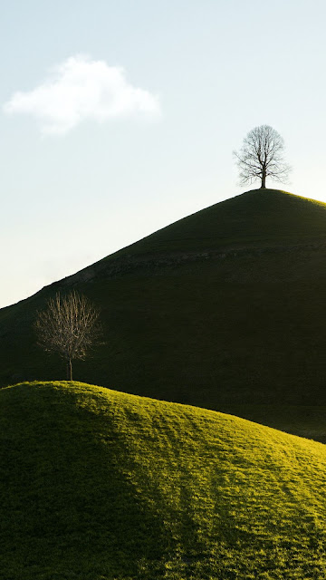 Alone Tree On Hill Nature Screen Background