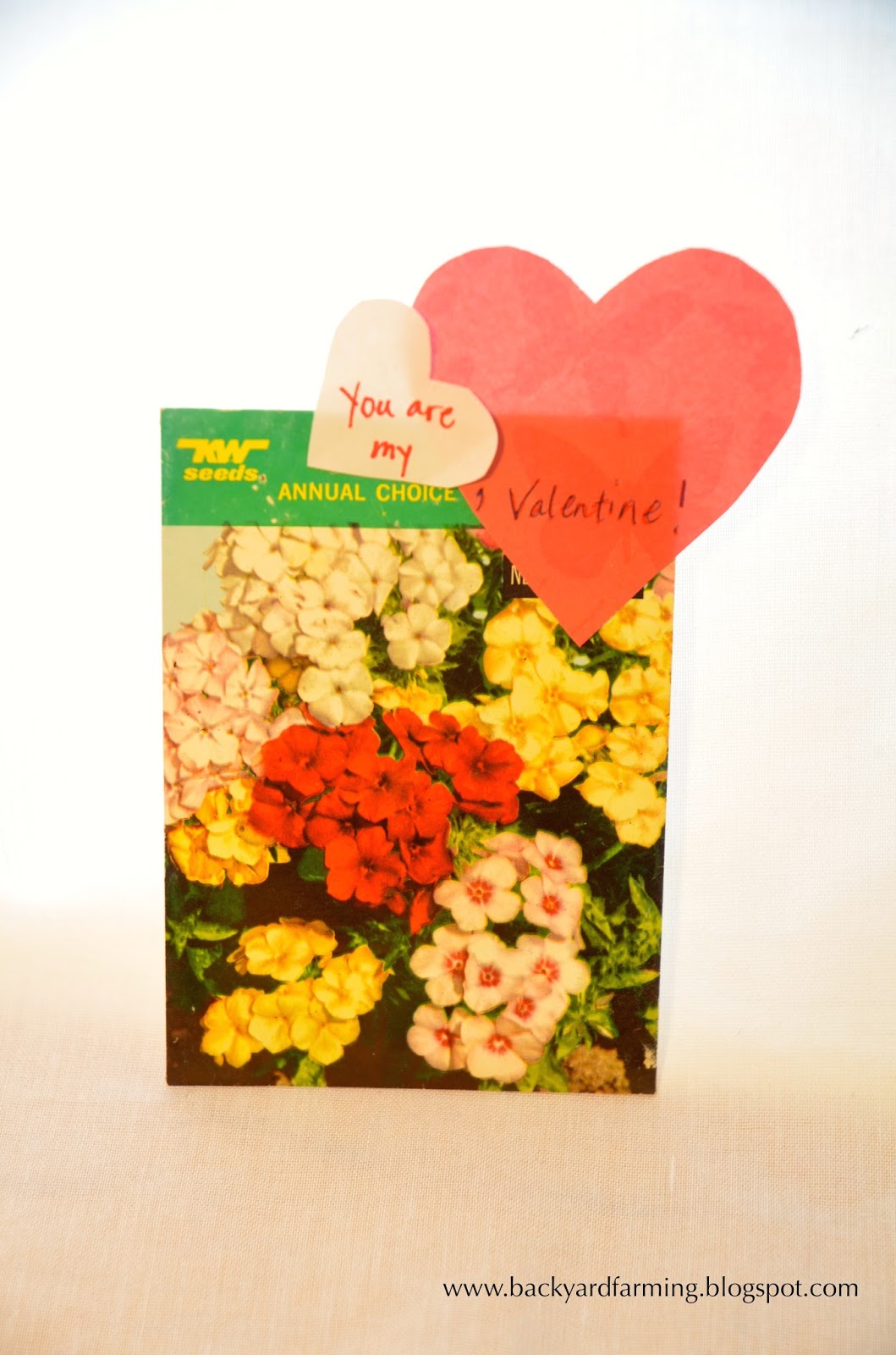 Backyard Farming Seed packet Valentines