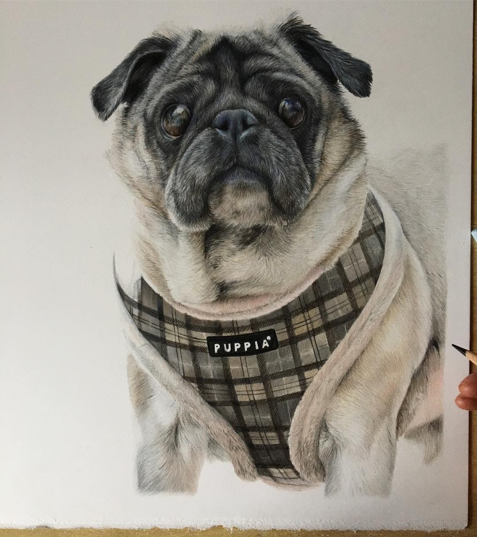 Design Stack A Blog about Art, Design and Architecture Colored