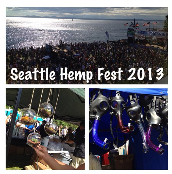 Six Twenty Seven Recap Seattle Hemp Fest 2013