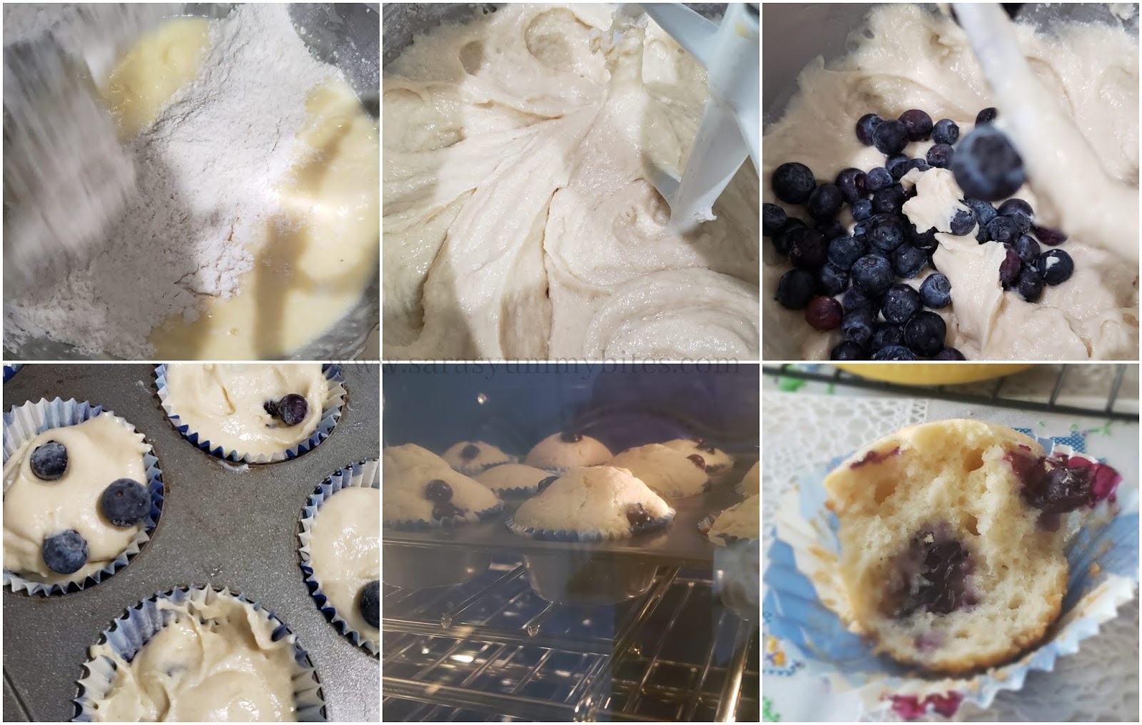Blueberry Muffins Blueberry Muffins