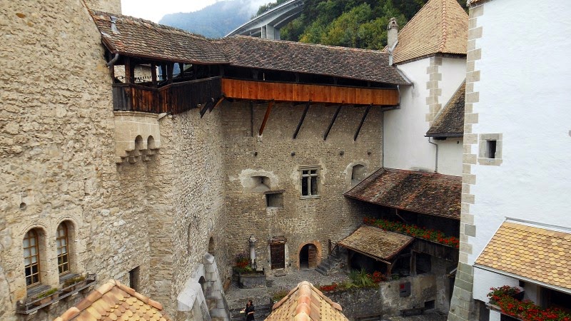 GATHOSUIZA2_067.JPG