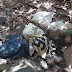 Corpo em estado avançado de decomposição é encontrado na zona rural de Bernardino Batista