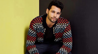 Siddhant Chaturvedi Filmography, Roles, Verdict (Hit / Flop), Box Office Collection, And Others