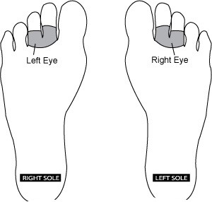Reflexología para los ojos clearance