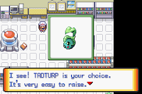 Pokemon Turquoise screenshot 03