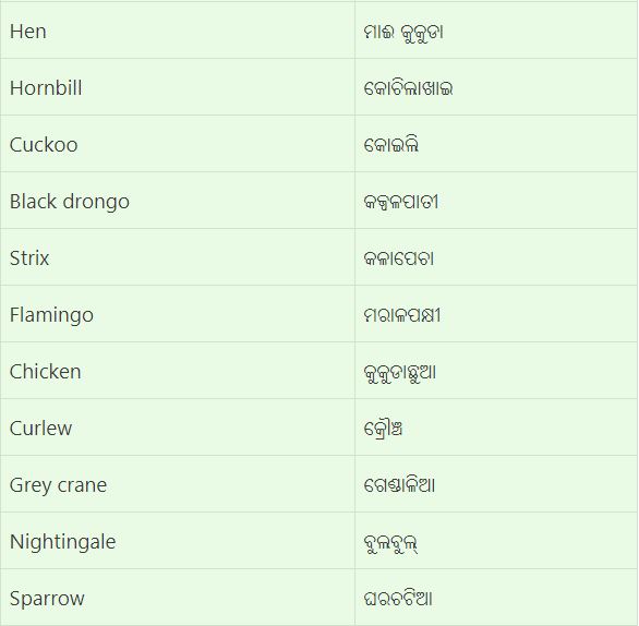All Birds Name in Odia