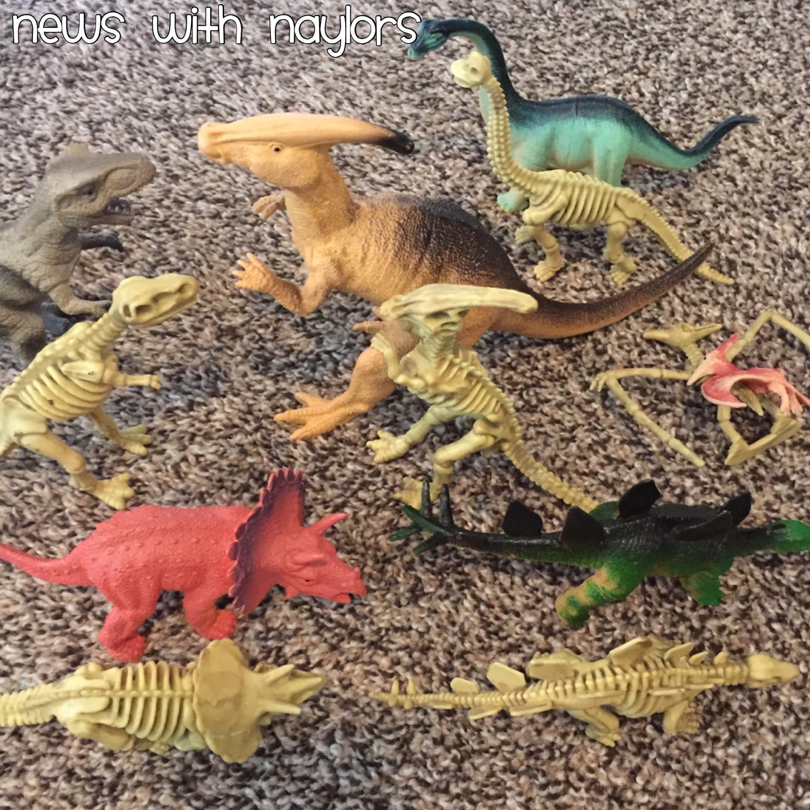 Digging for Dinosaur Fossils
