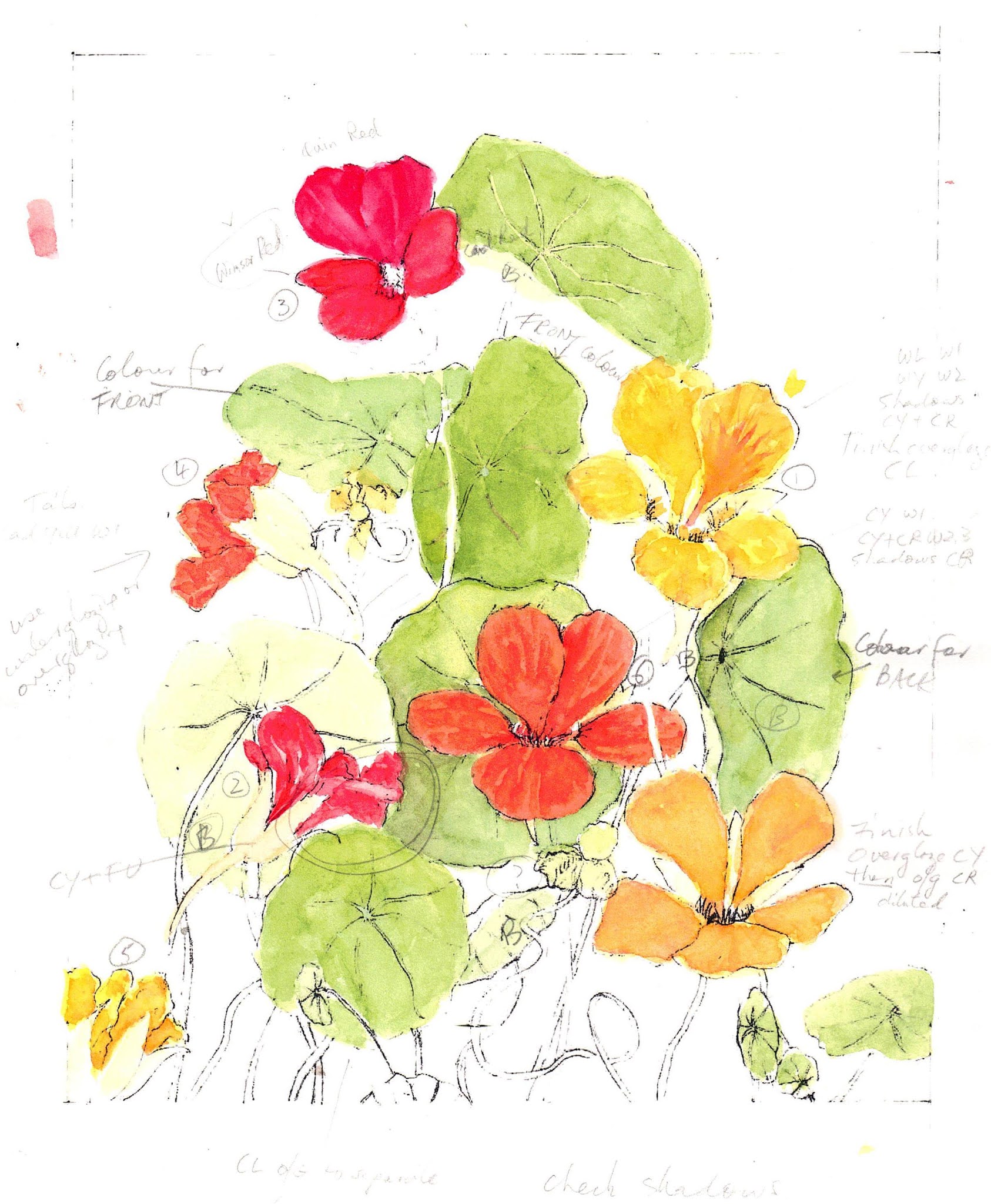 Botanical Art - Holiday Sketching