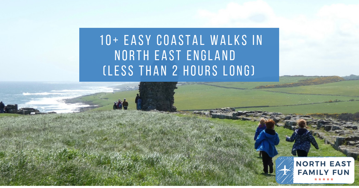10+ Easy Coastal Walks in North East England (less than 2 hours long