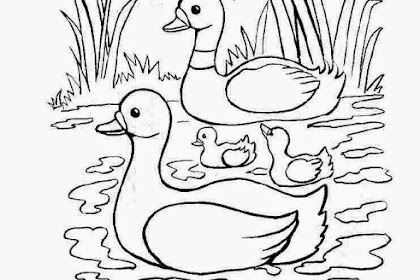 Gambar Untuk Diwarnai Anak Sd Kelas 2 - Tempat Berbagi Gambar