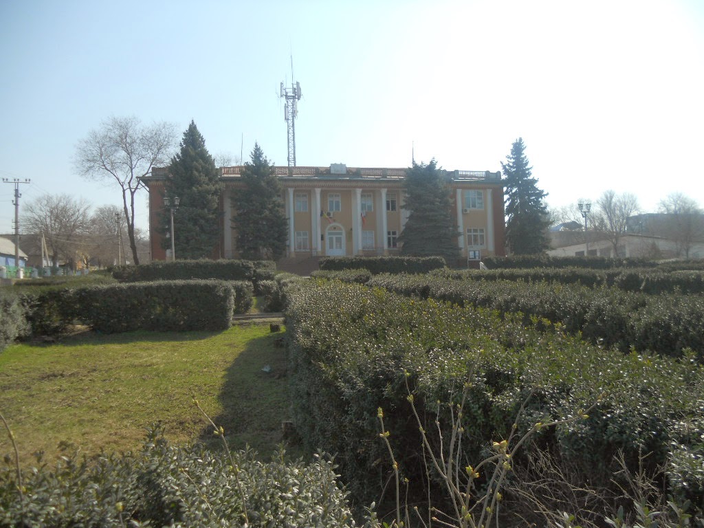 Warren's Moldovan Way How are things in Taraclia