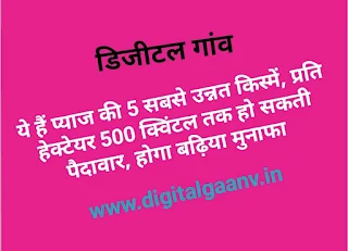 प्याज की सबसे बढ़िया onion hybrid varieties उन्नत हाईब्रिड किस्में, पैदावार जायदा और लागत कम।