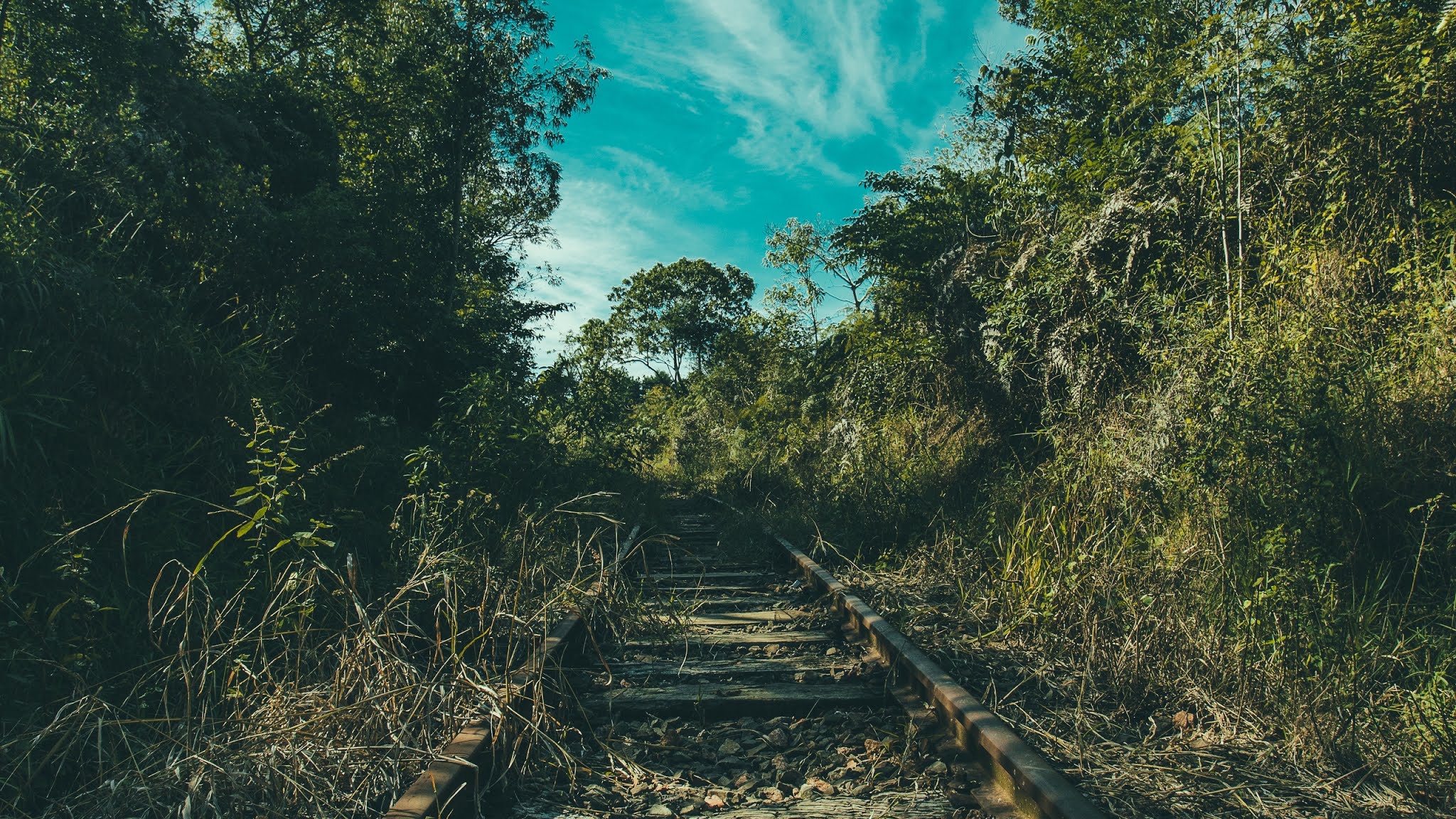 Abandoned Railway Tracks