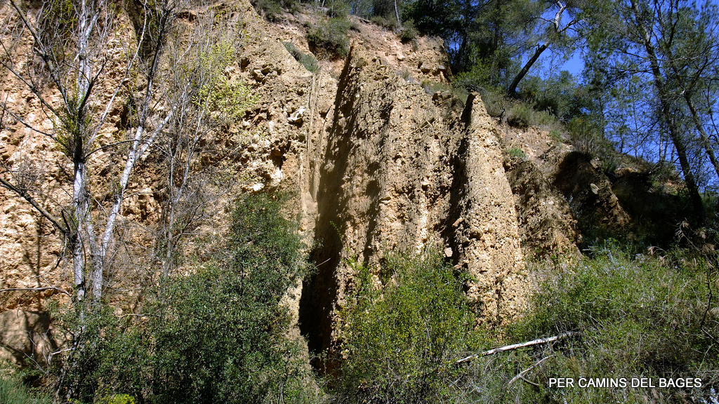 PER CAMINS DEL BAGES ELS BADLANDS DE LA RIERA DE GAIÀ