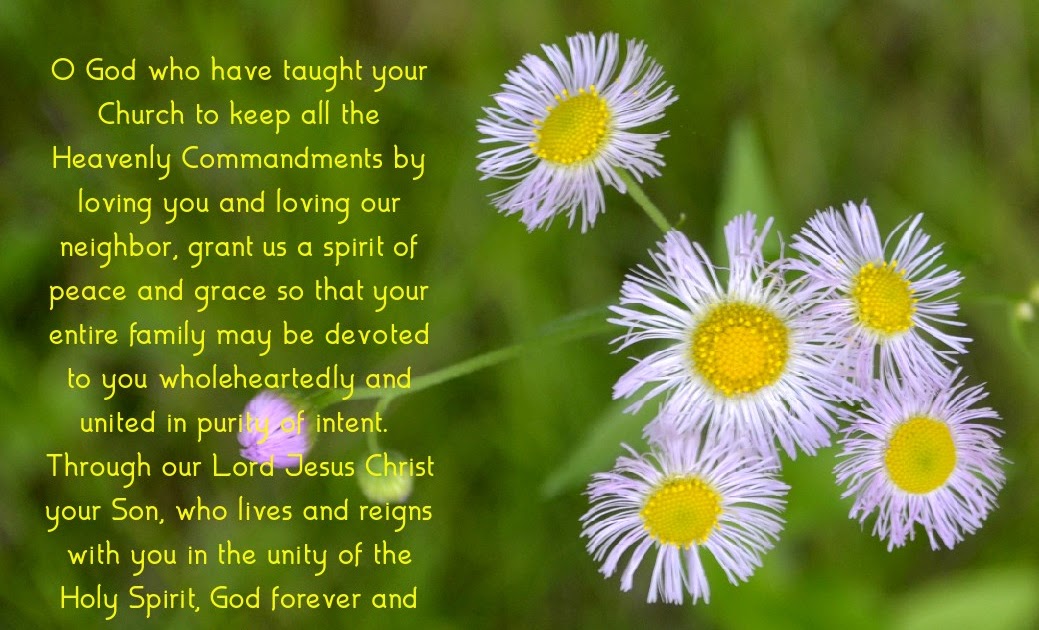 Daily Homilies Thursday of the Tenth Week in Ordinary Time