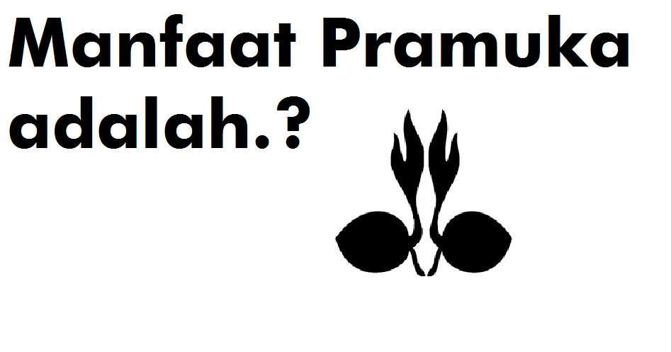 Inilah Beberapa Manfaat Pramuka Pm16bjm Inilah Beberapa Manfaat Pramuka Pm16bjm