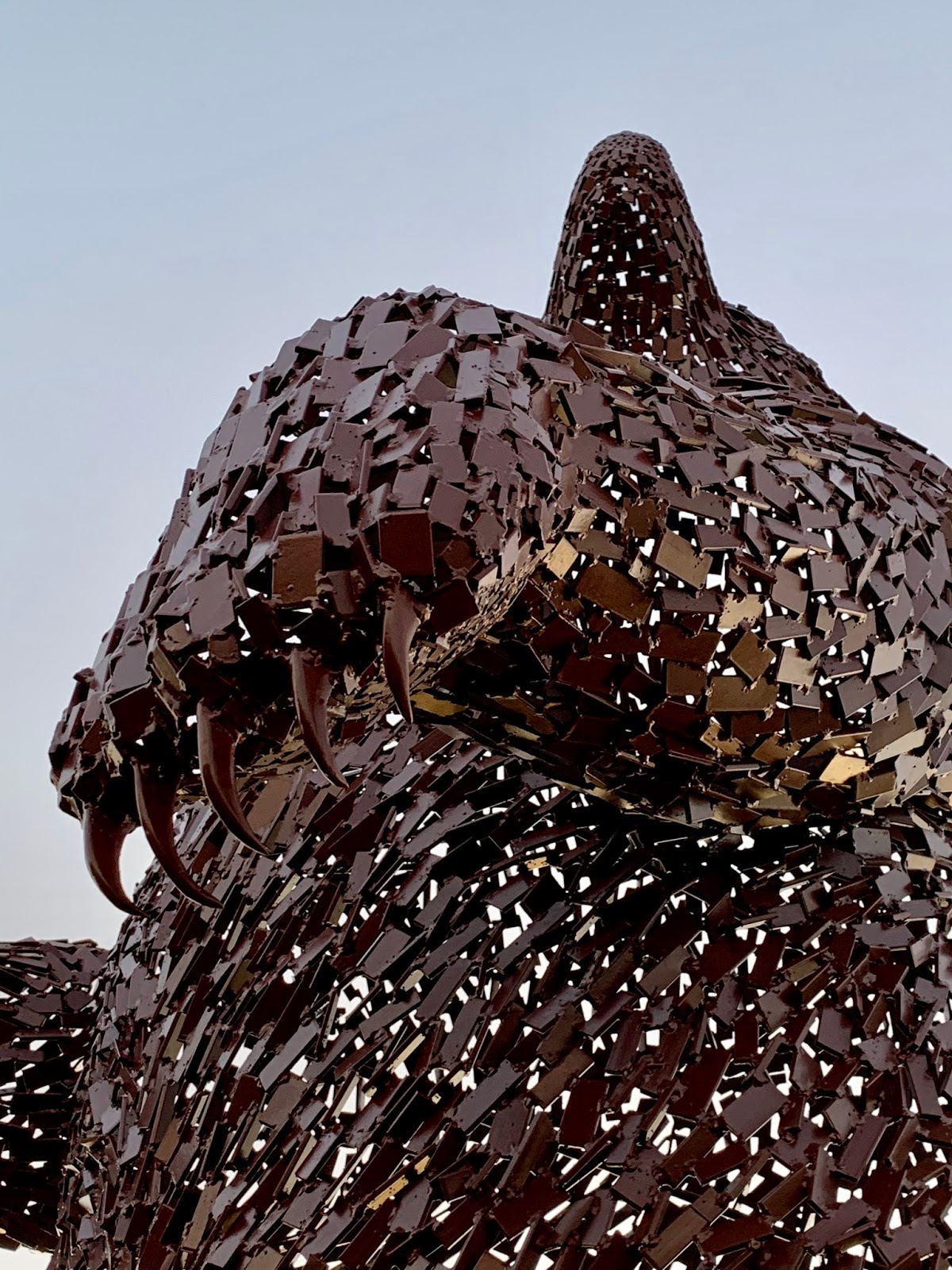 Chamfron Stud Dunbar Bear