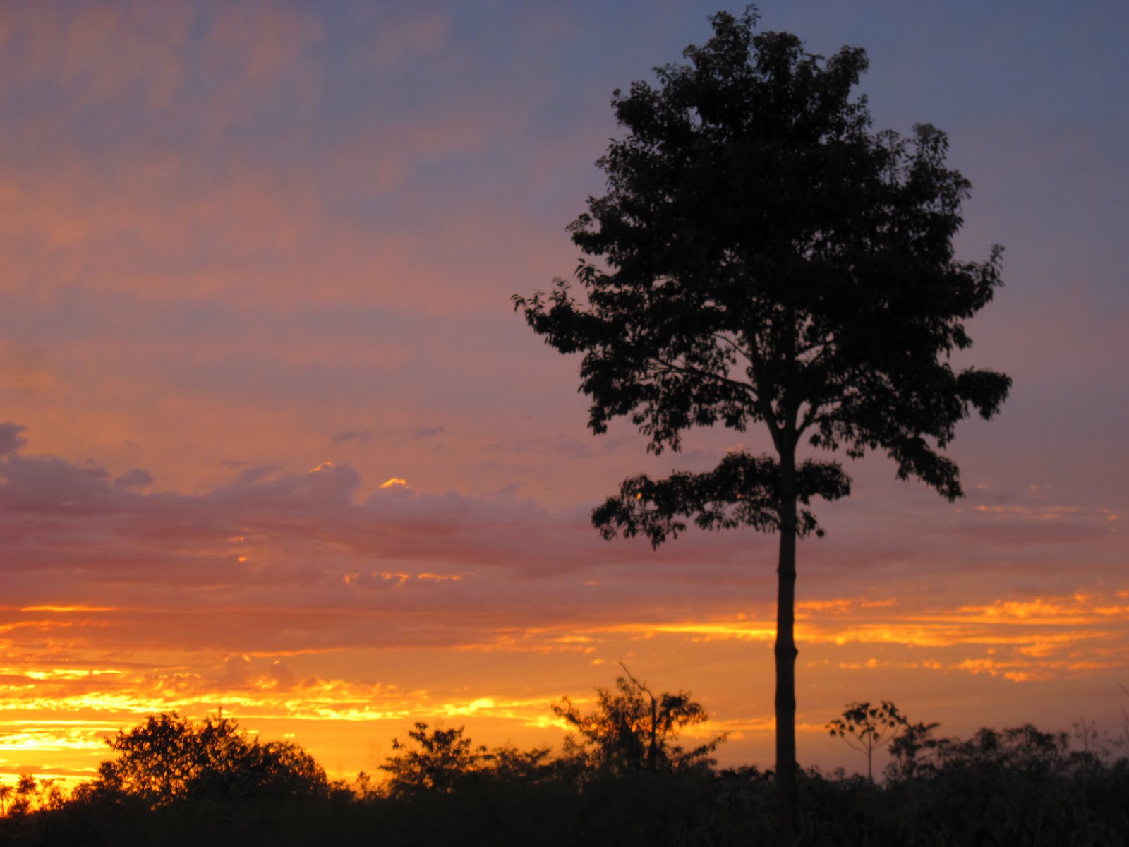 Tom's Ramblings In Paraguay: Winter is Coming