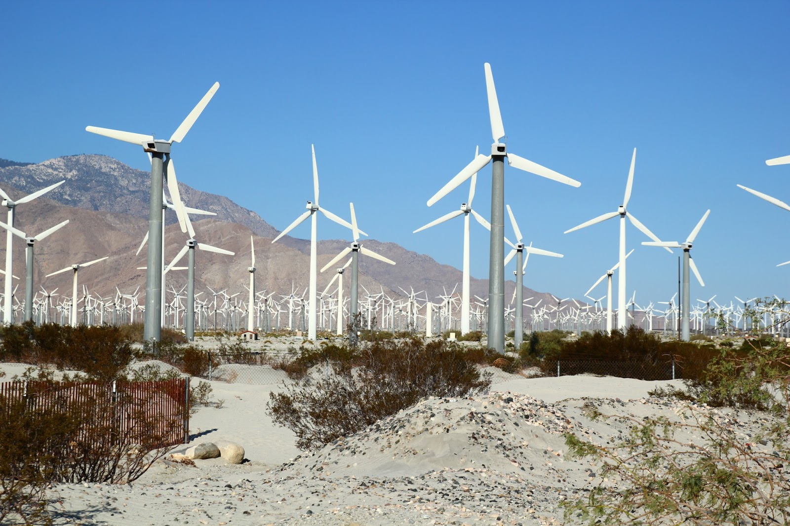 WHITE WINDMILL EmpireLipstick
