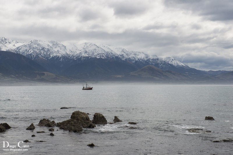 Nueva Zelanda en Campervan - Vuelta al mundo - Blogs de Nueva Zelanda - Desde Christchurch a Kaikoura (3)