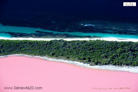  بحيرة هيلير الوردية في استراليا Lake Hillier 
