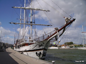 Driemaster in Lelystad