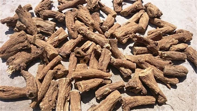 الآثار الجانبية لنبات العود الهندي