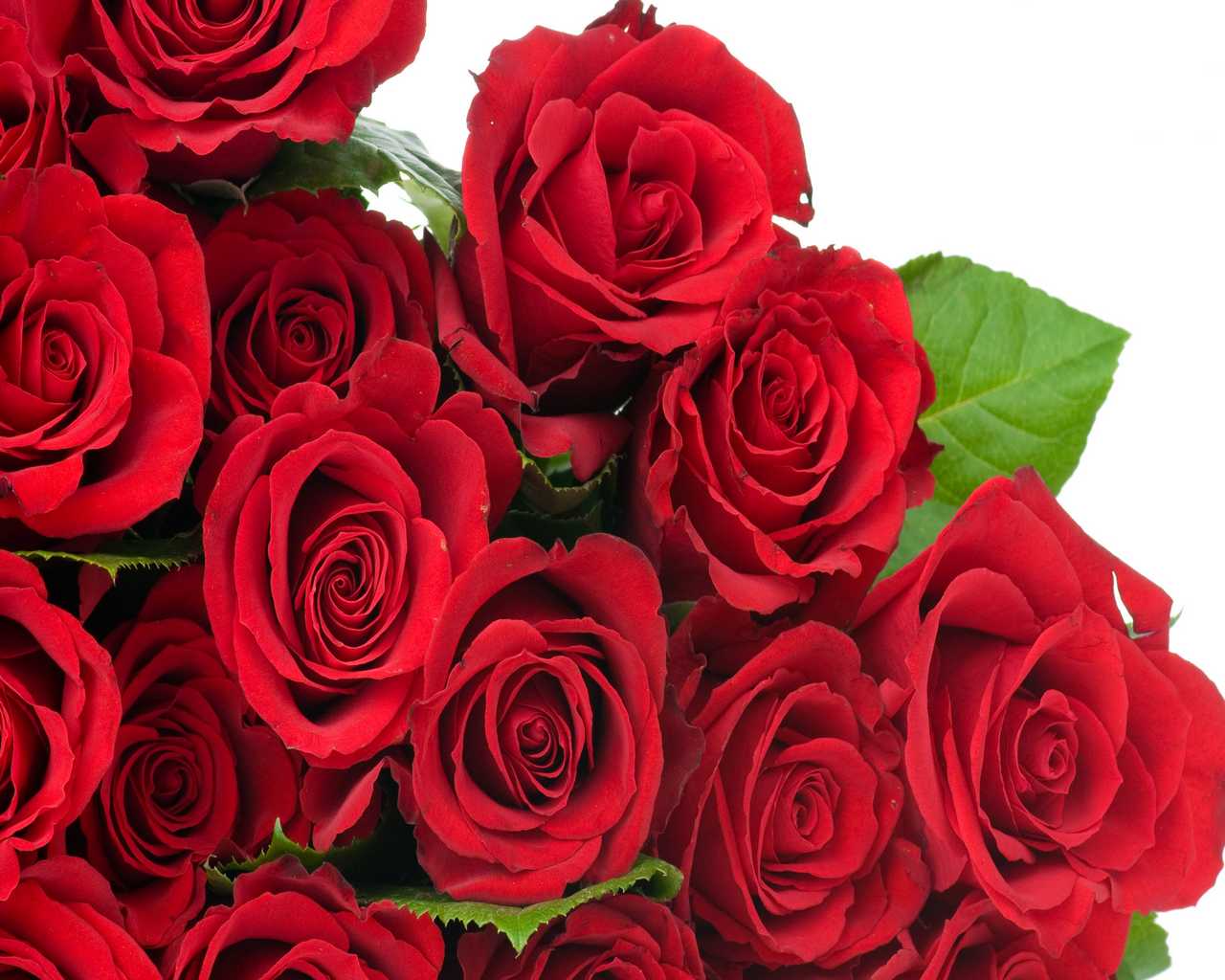 Мерцающие розы с днем рождения женщине красивые. Открытки с розами. Розы для тебя. Открытки с розами красивые. Открытки розы для тебя.