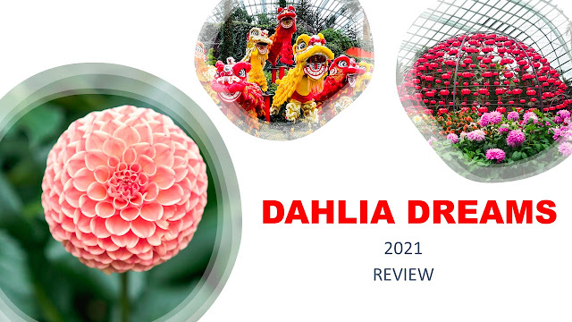 Dahlia Dreams @ Flower Dome 2021 Review