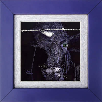Framed "Purple Cow", a scratchboard by Judy Lavoie