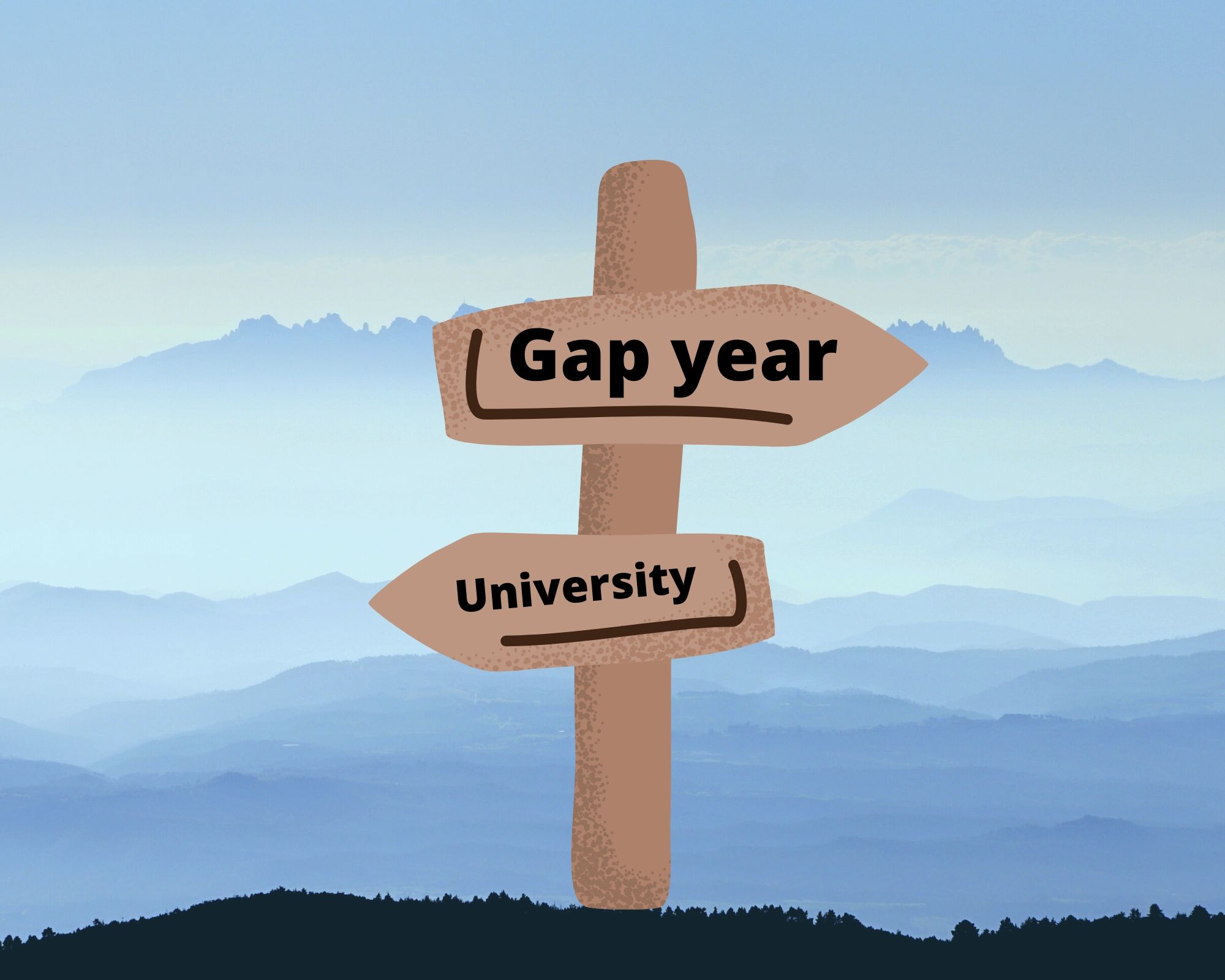 College Gap Year Graph