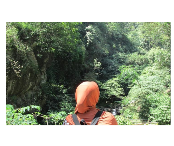 Menjaga Kelestarian Hutan Demi Sumber Pangan Makhluk Hidup