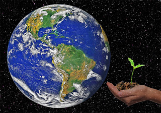 earth and plant