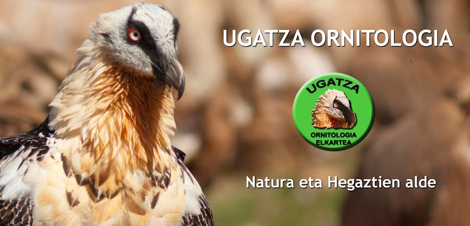 Sociedad de Ornitología Ugatza Ornitologia Elkartea