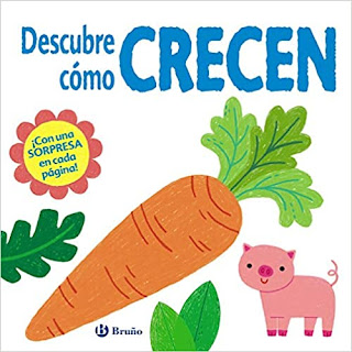 selección cuentos libros recomendado día libro