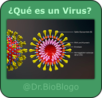 https://drbioblogo.blogspot.com/2020/03/que-es-un-virus.html