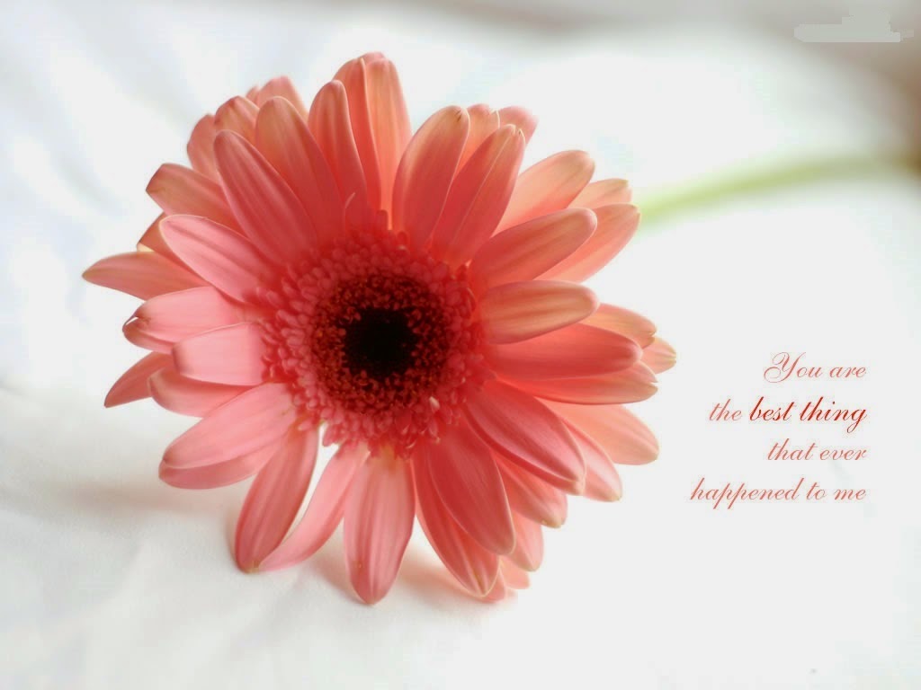 Love Quotes-I love you-You are-Hug-Miss you-Thinking of you-You and me