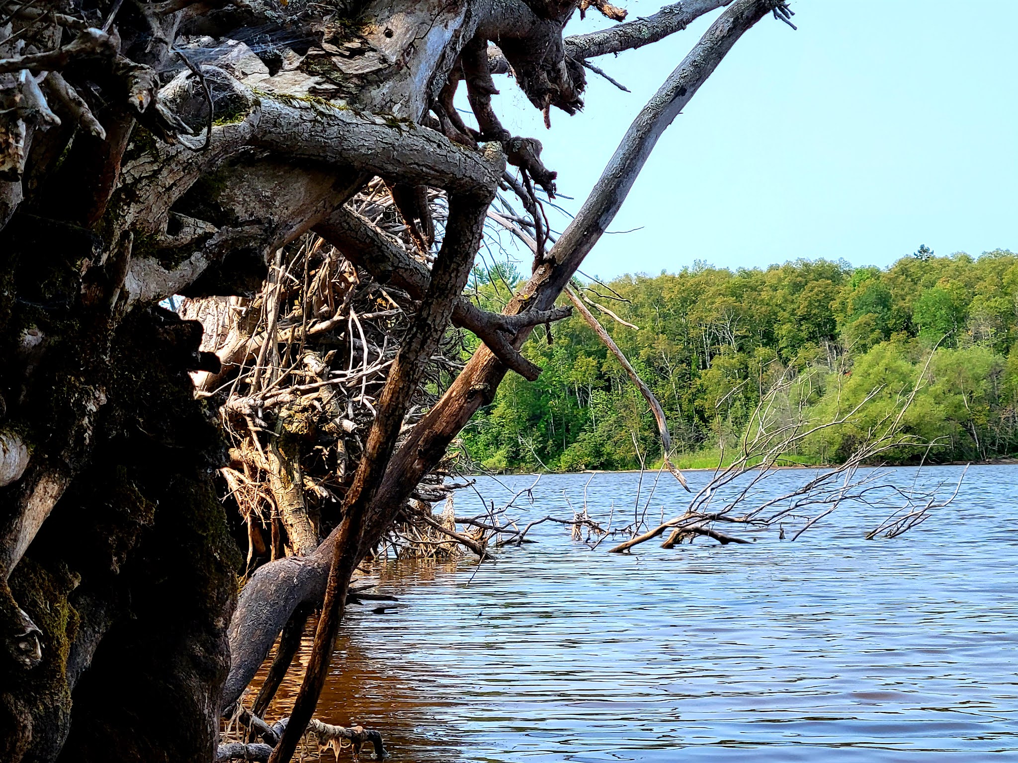 Orange is my favorite color. Woodstock Bay