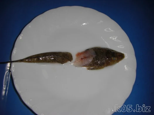 めごちの天ぷらを作ってみた ガッチョ ネズミゴチ 某氏の猫空